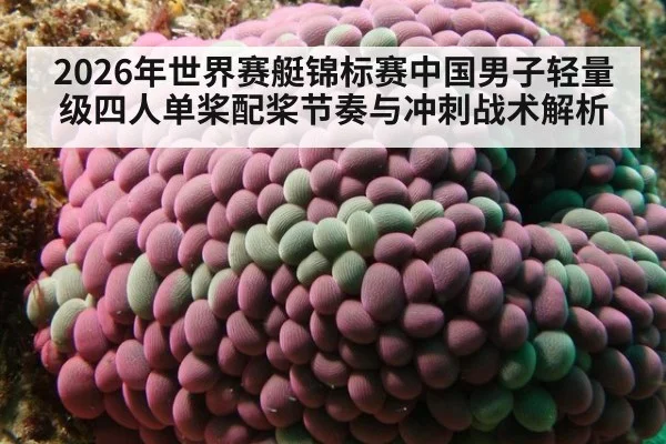 2026年世界赛艇锦标赛中国男子轻量级四人单桨配桨节奏与冲刺战术解析